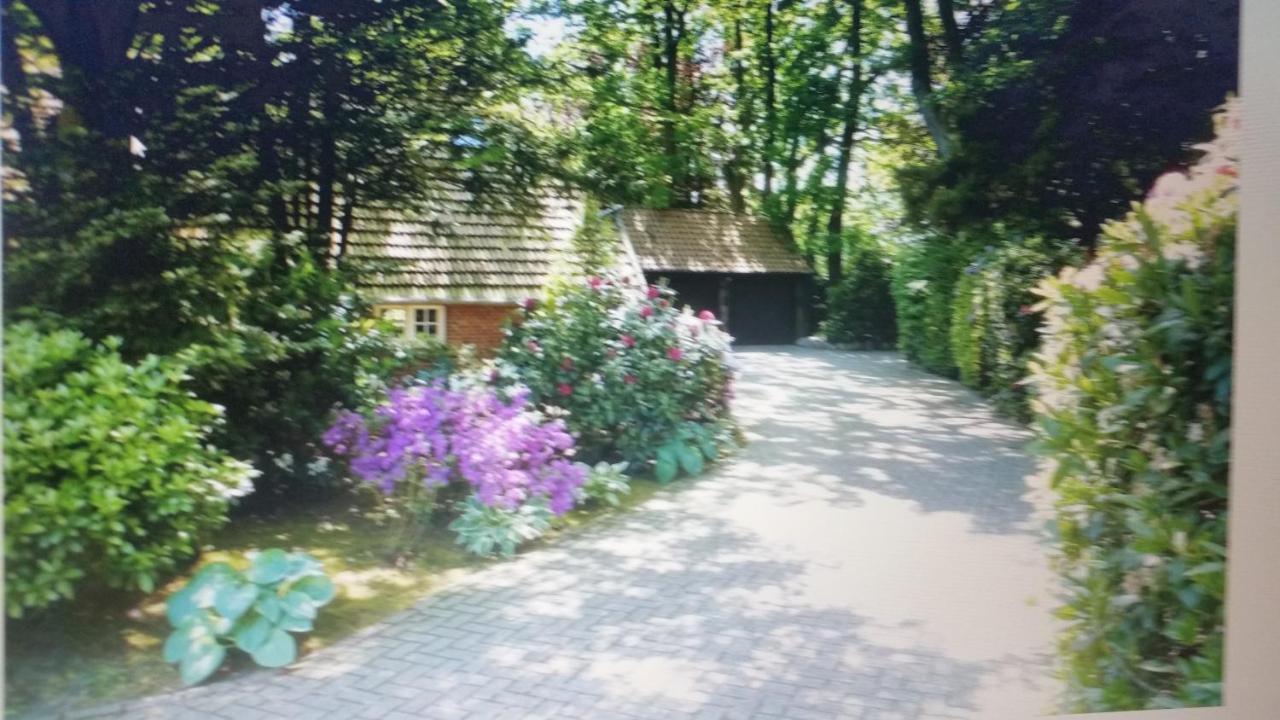 Ferienwohnung Morgensonne فسترشتيده المظهر الخارجي الصورة