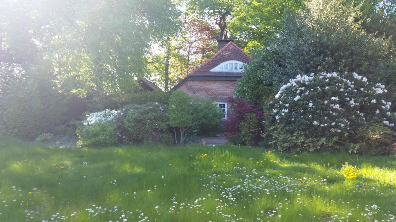 Ferienwohnung Morgensonne فسترشتيده المظهر الخارجي الصورة