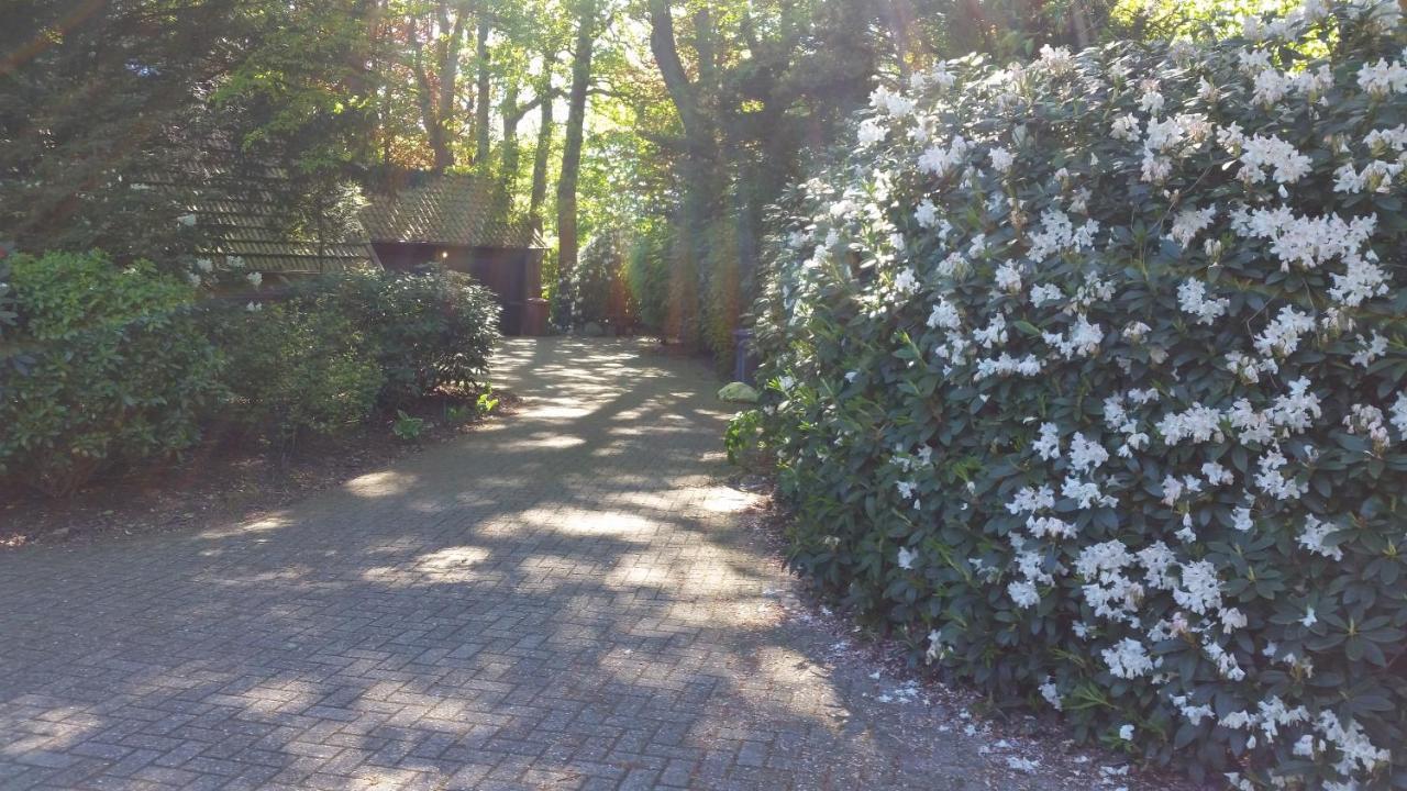 Ferienwohnung Morgensonne فسترشتيده المظهر الخارجي الصورة