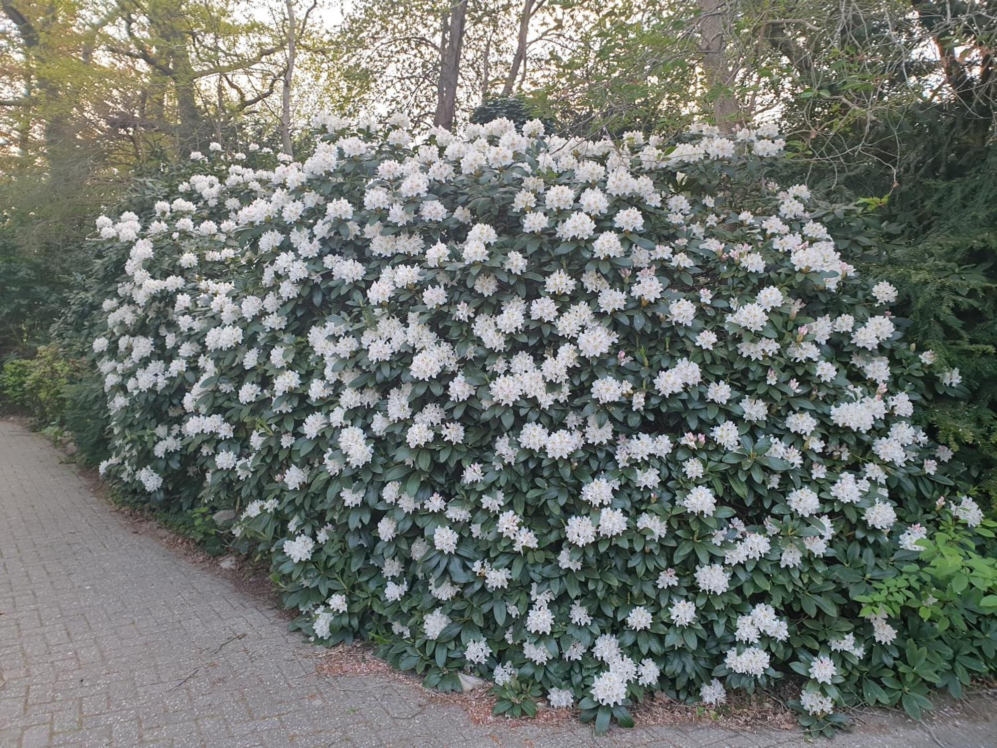 Ferienwohnung Morgensonne فسترشتيده المظهر الخارجي الصورة